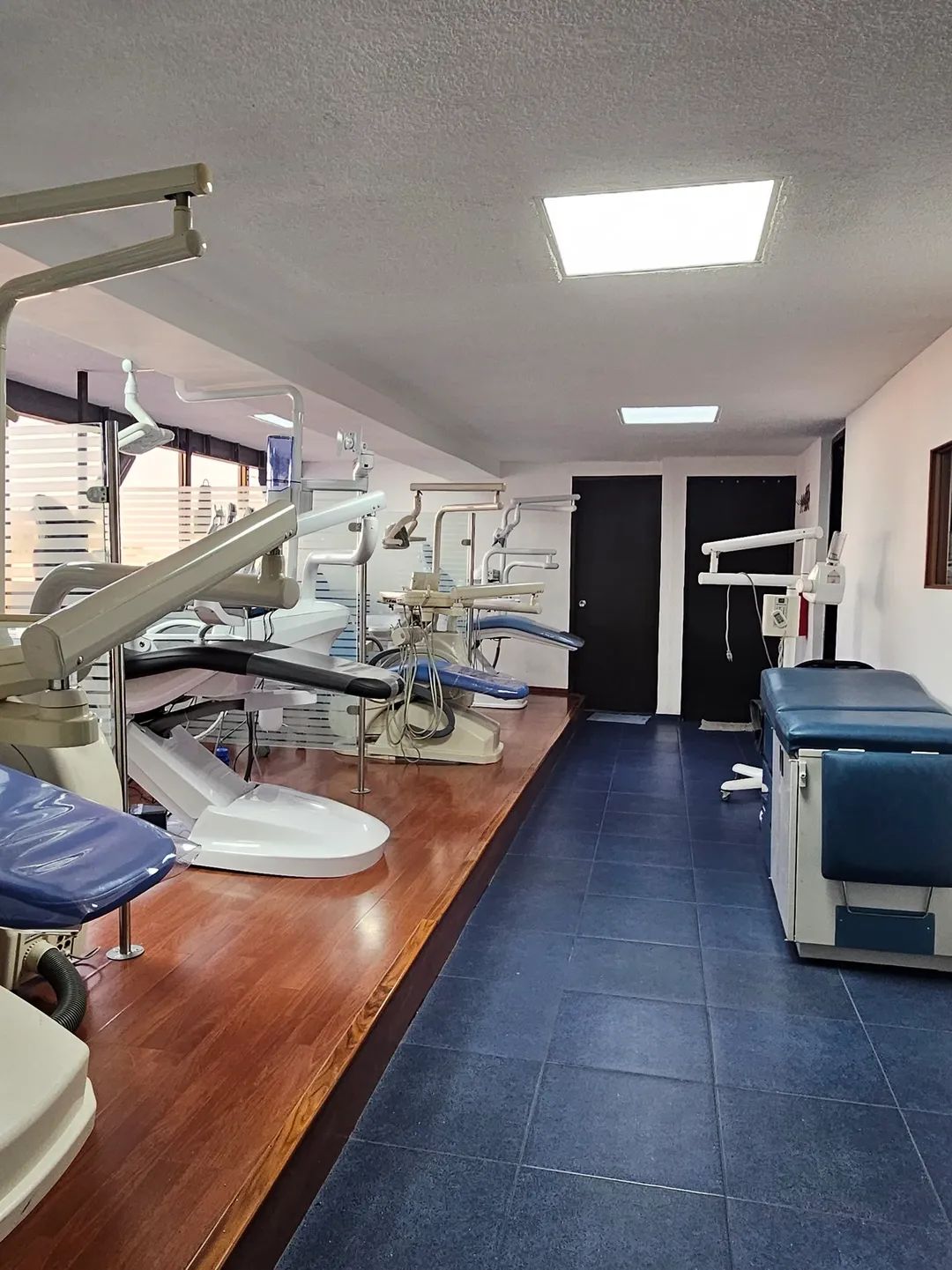 J. Adriana Hernández Diaz-0