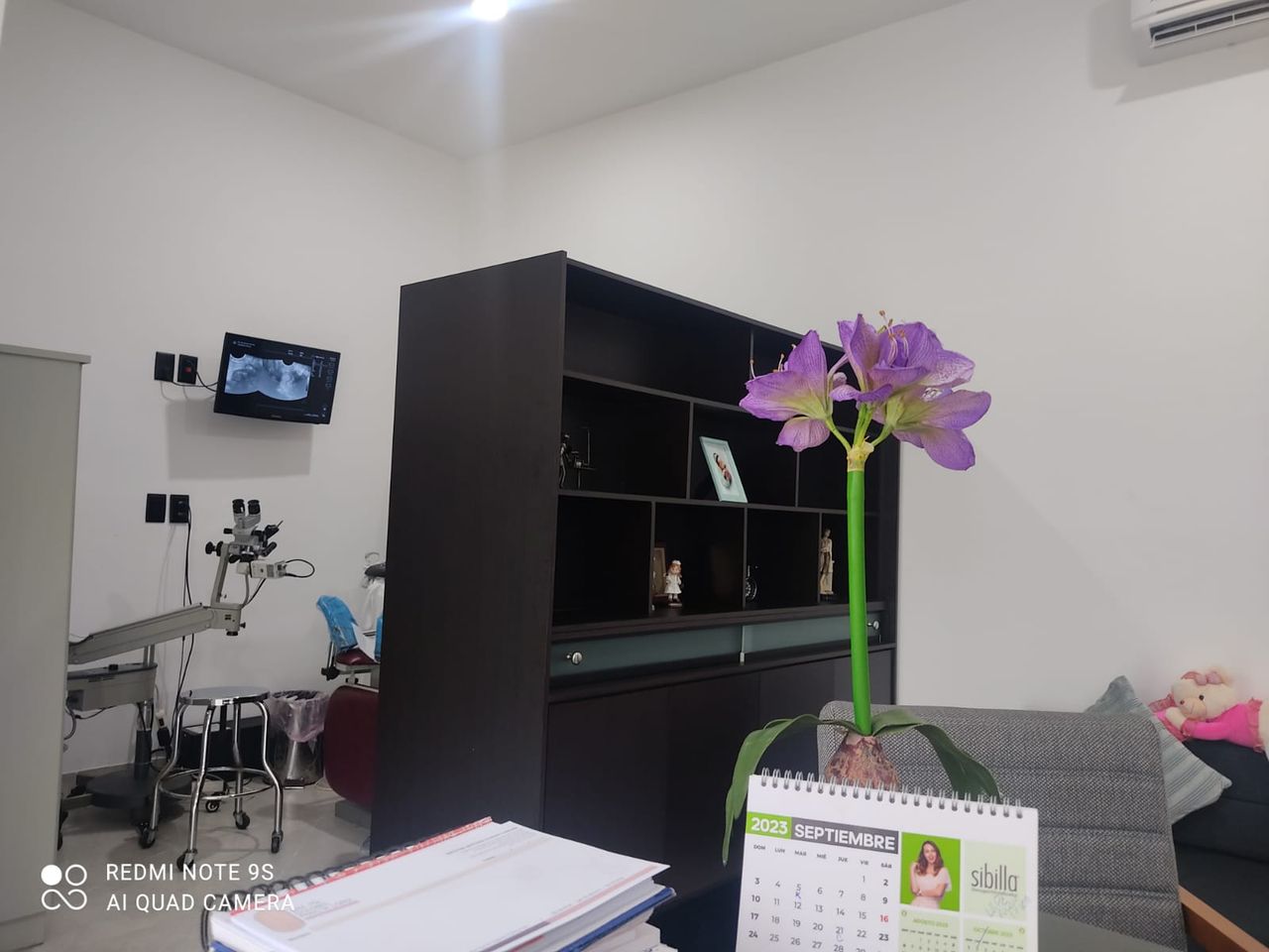 Ma Dolores Peralta López-2