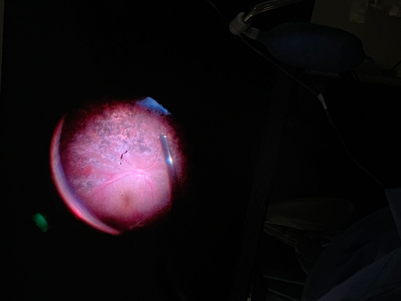 Salvador Mojica Lagunes-1