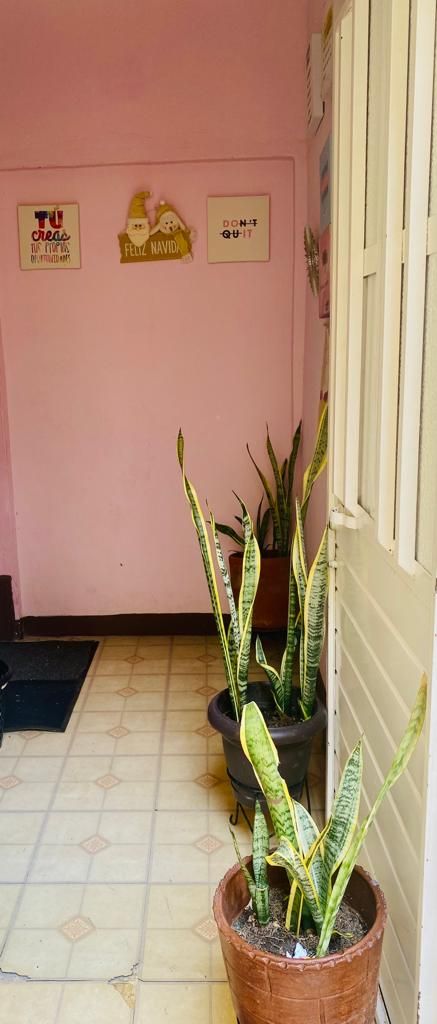 Yeimy Rocio Avila Pontón-3