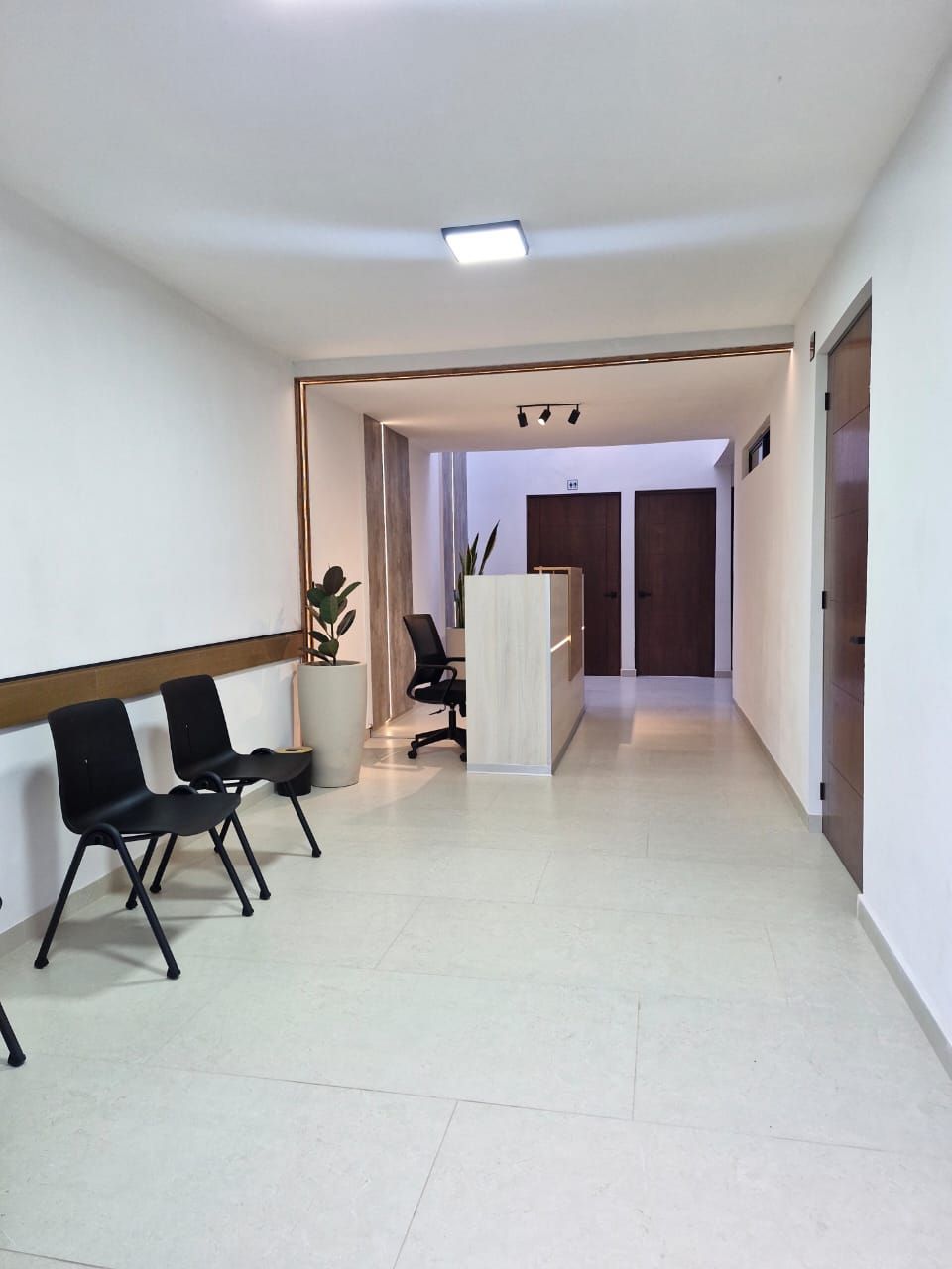 María Elena Figón Mancilla-5