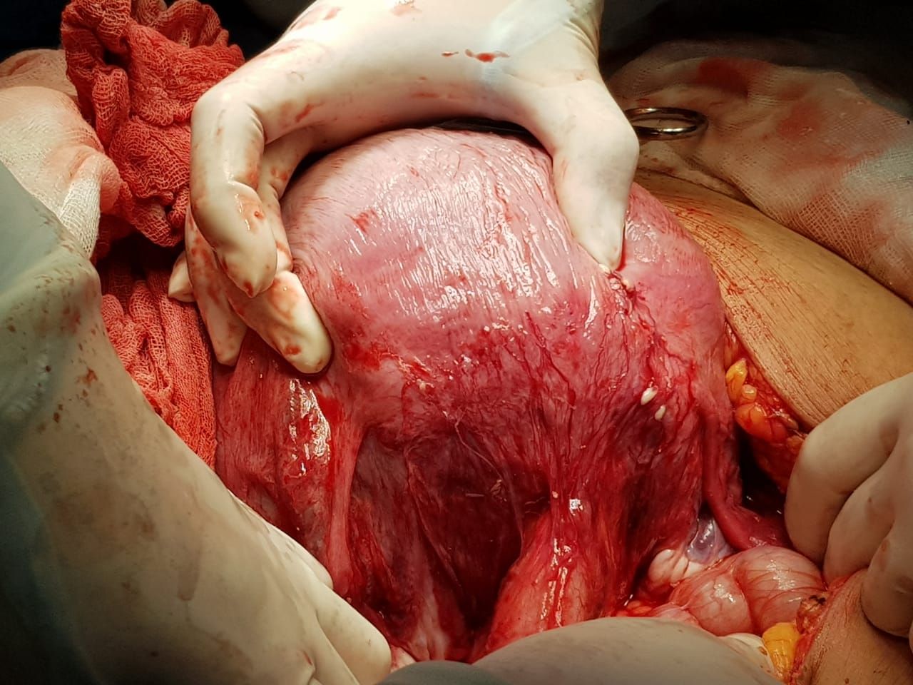 Marisol I. Alvarez Carrasco-21