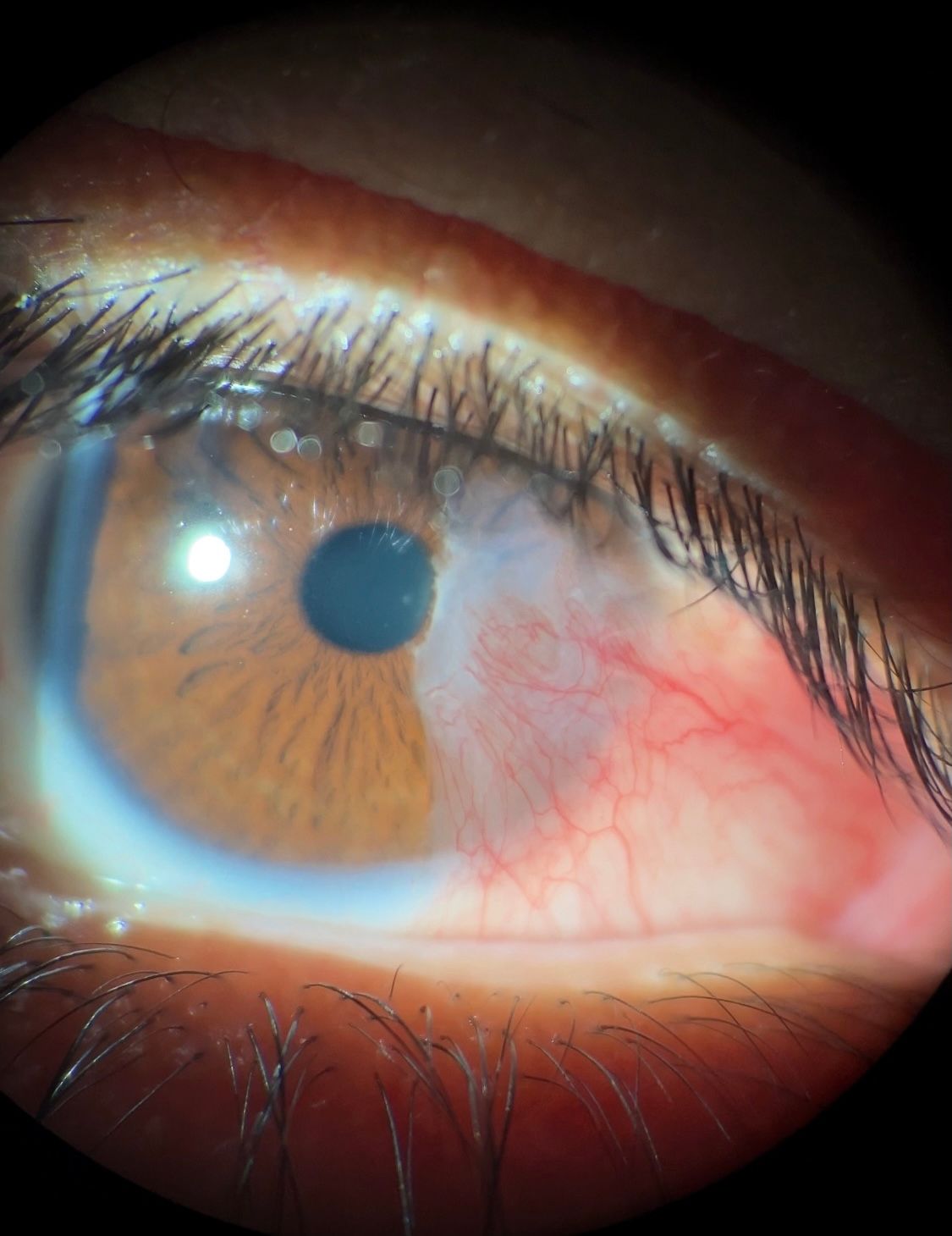 Máximo Rojas Bahena-1