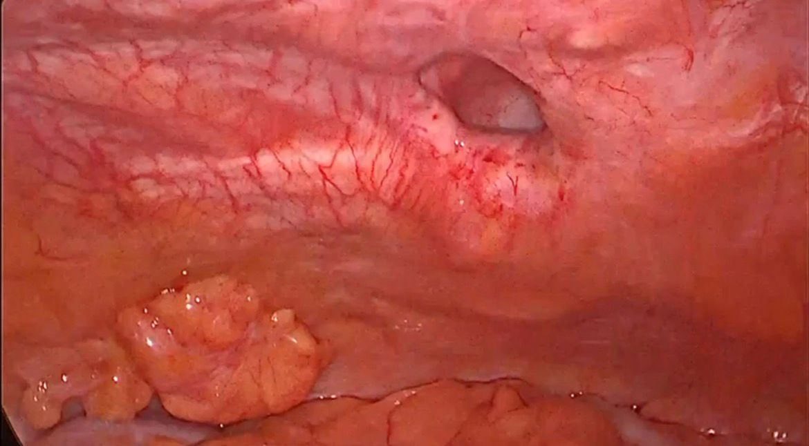 Cuauhtemoc Lemus Castillo-1