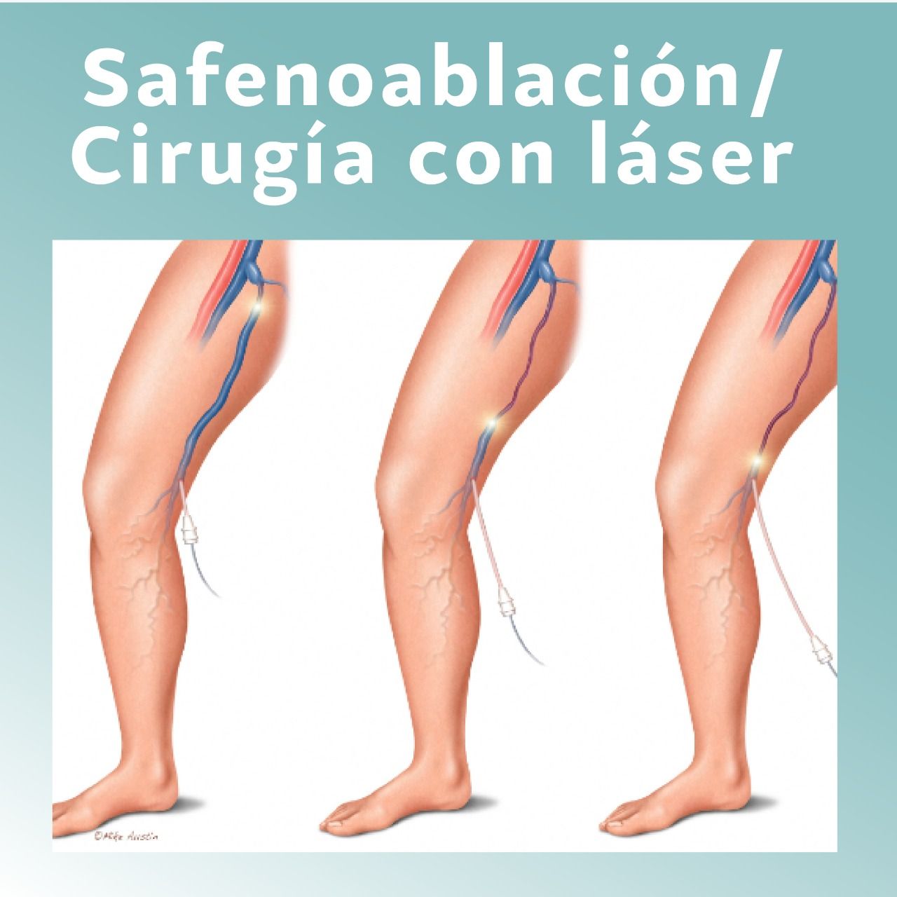 Daniela Oropeza Adame-20