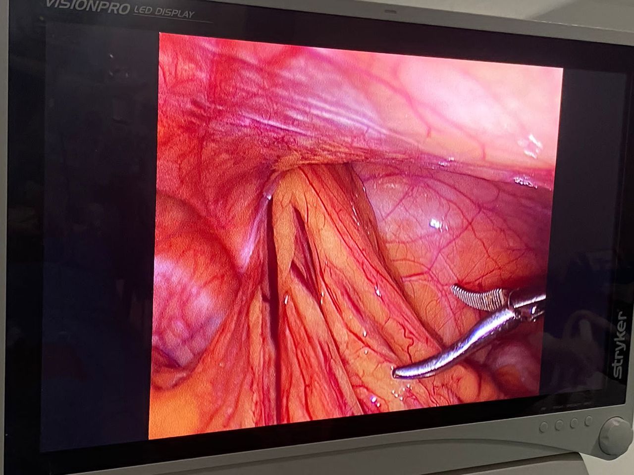 Luis Angel Medina Andrade-22