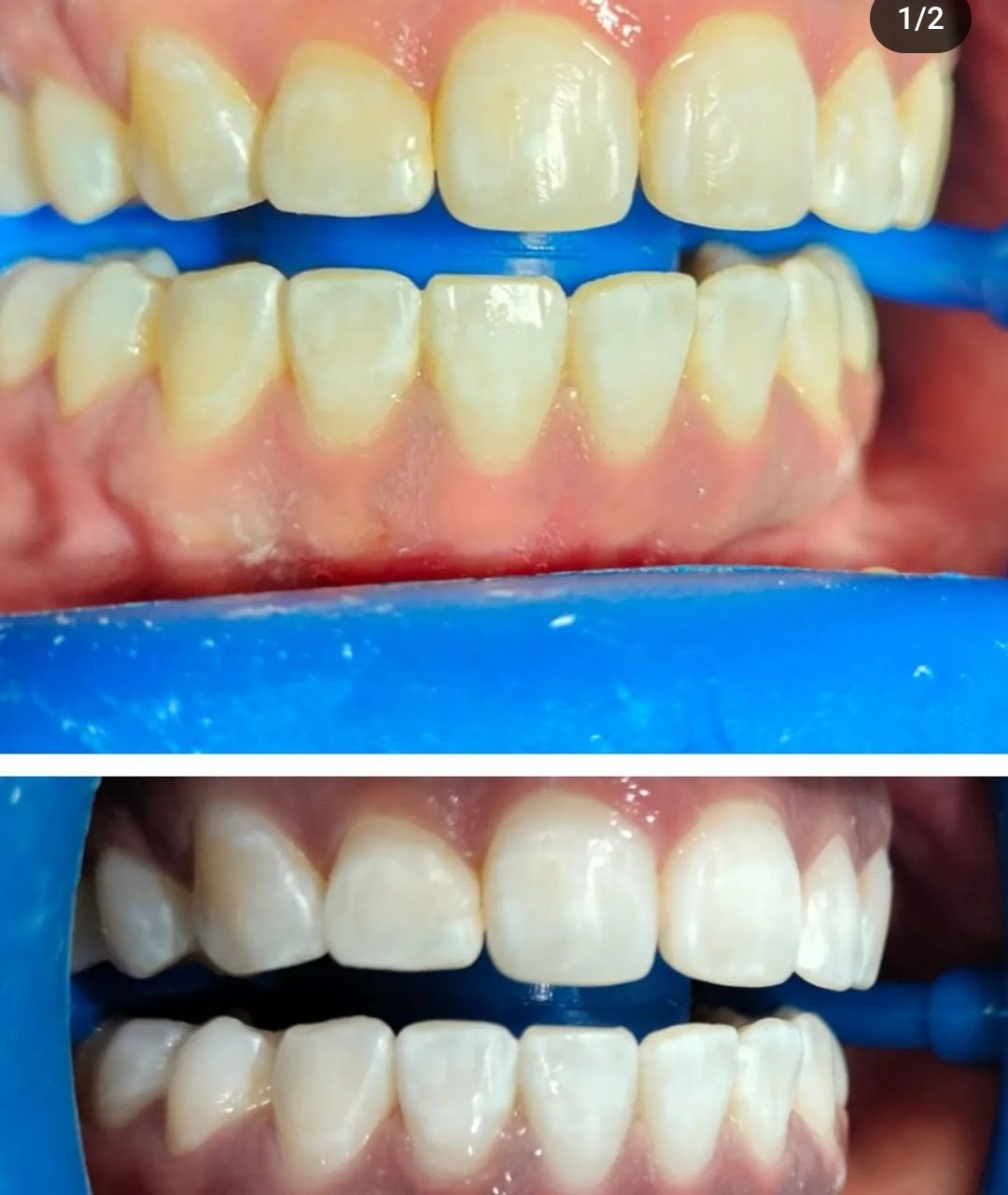 Karla Adriana Ramírez Gutiérrez-2