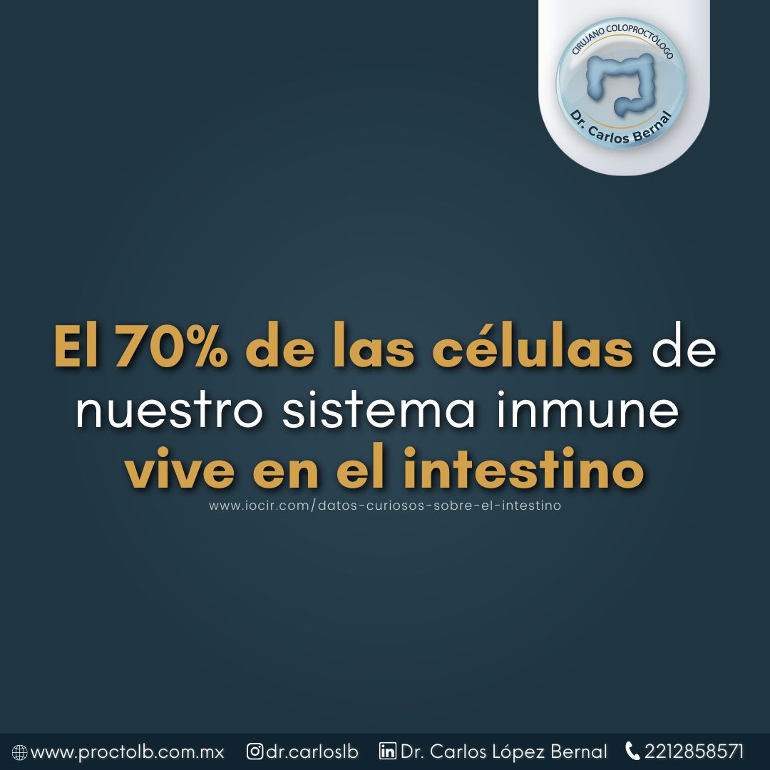 Carlos Alberto López Bernal-10