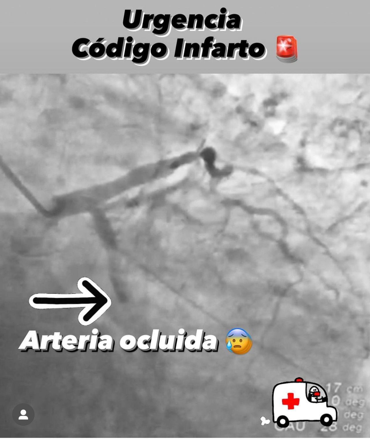 Abdón Ávila Chávez-35