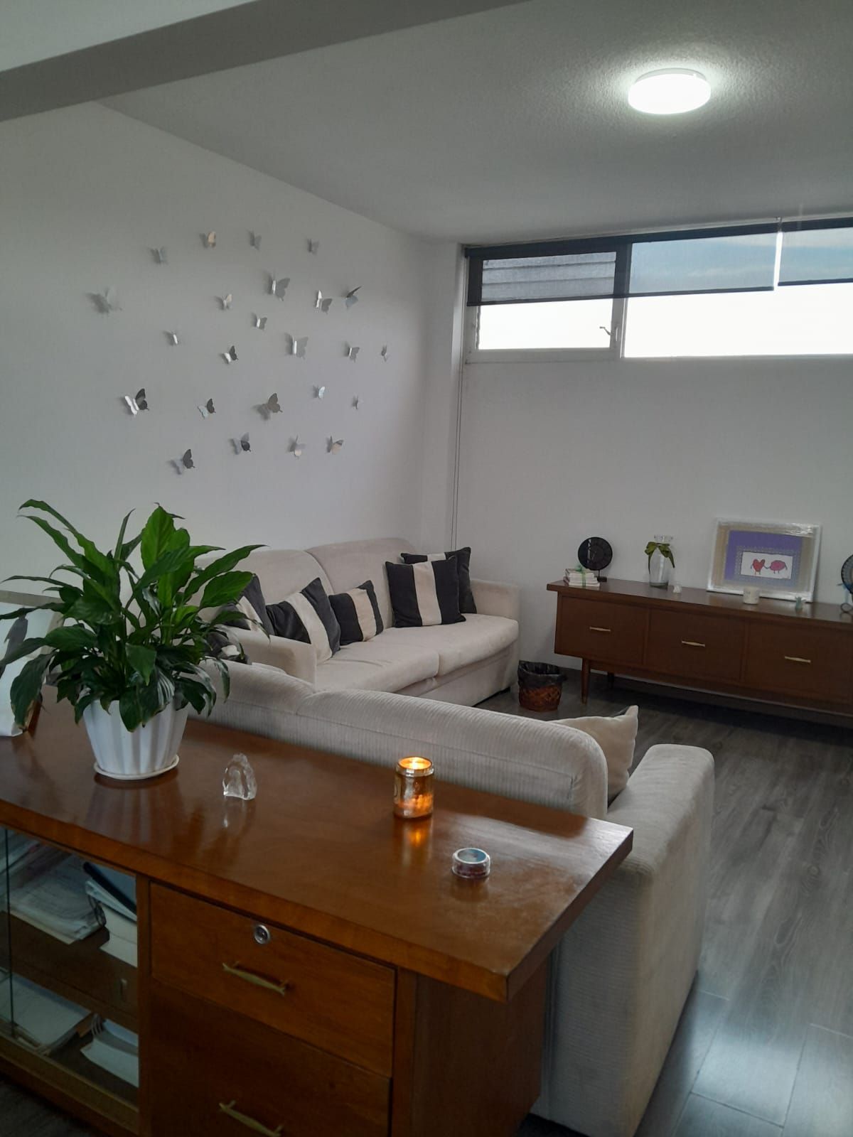 Maribel Arellanes Almazán-0