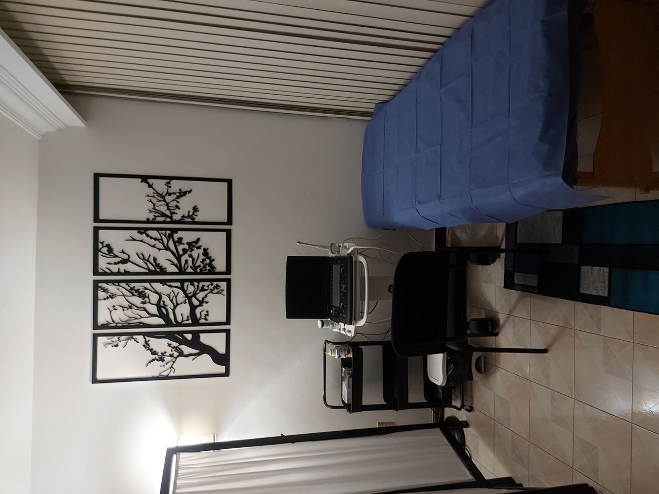 Javier Alejandro Salgado Rosales-1