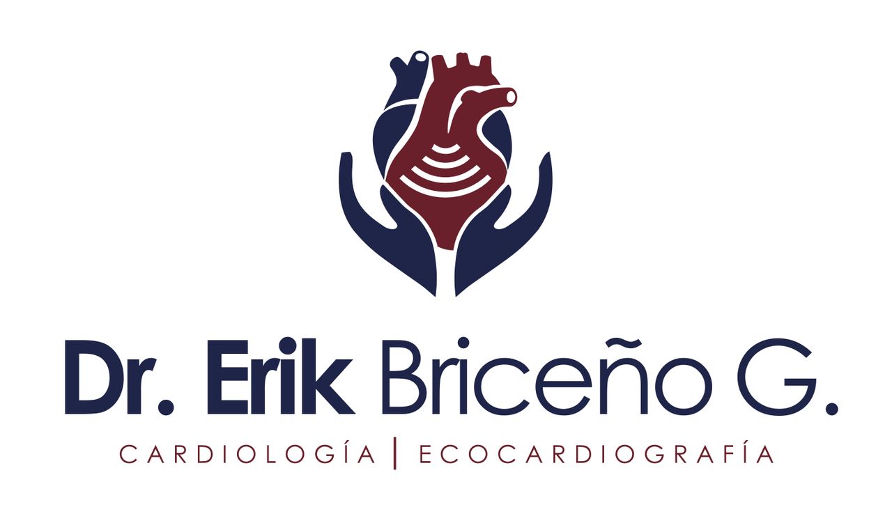 Erik Eduardo Briceño Gómez-3