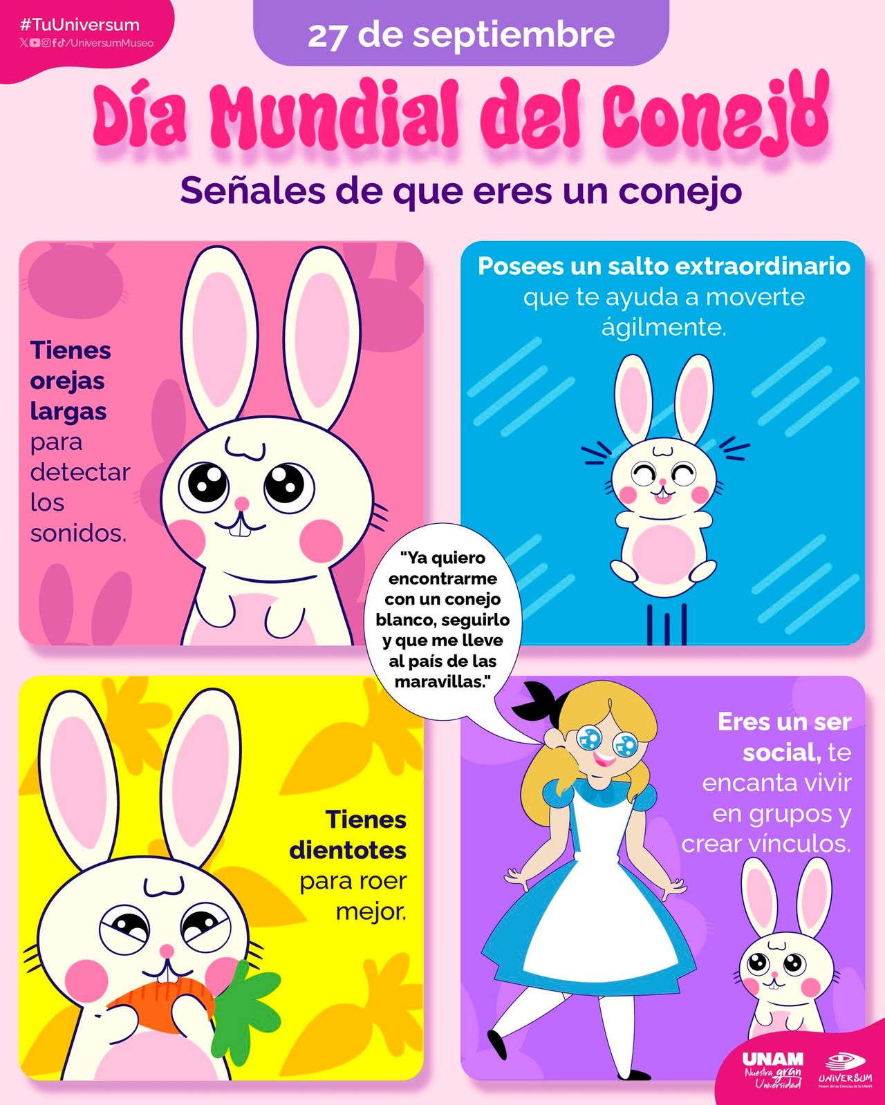 Raymundo Alejandro Cuevas Escalante-285