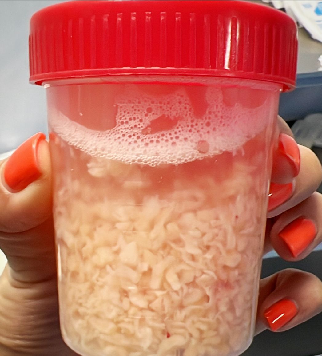 Karen Mendoza Bravo-7