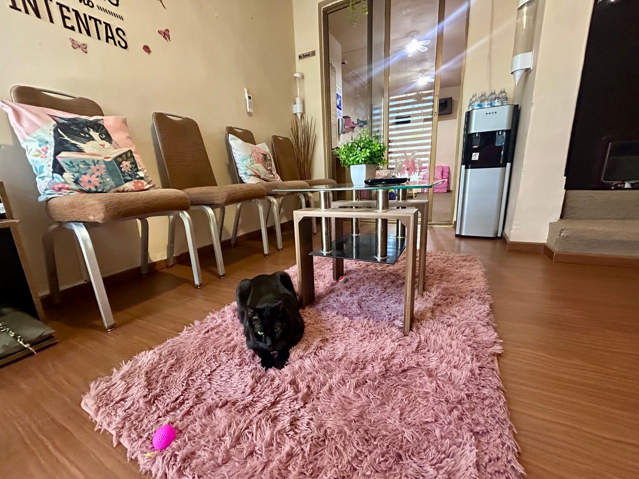 Jhoana Mendoza Larios-10