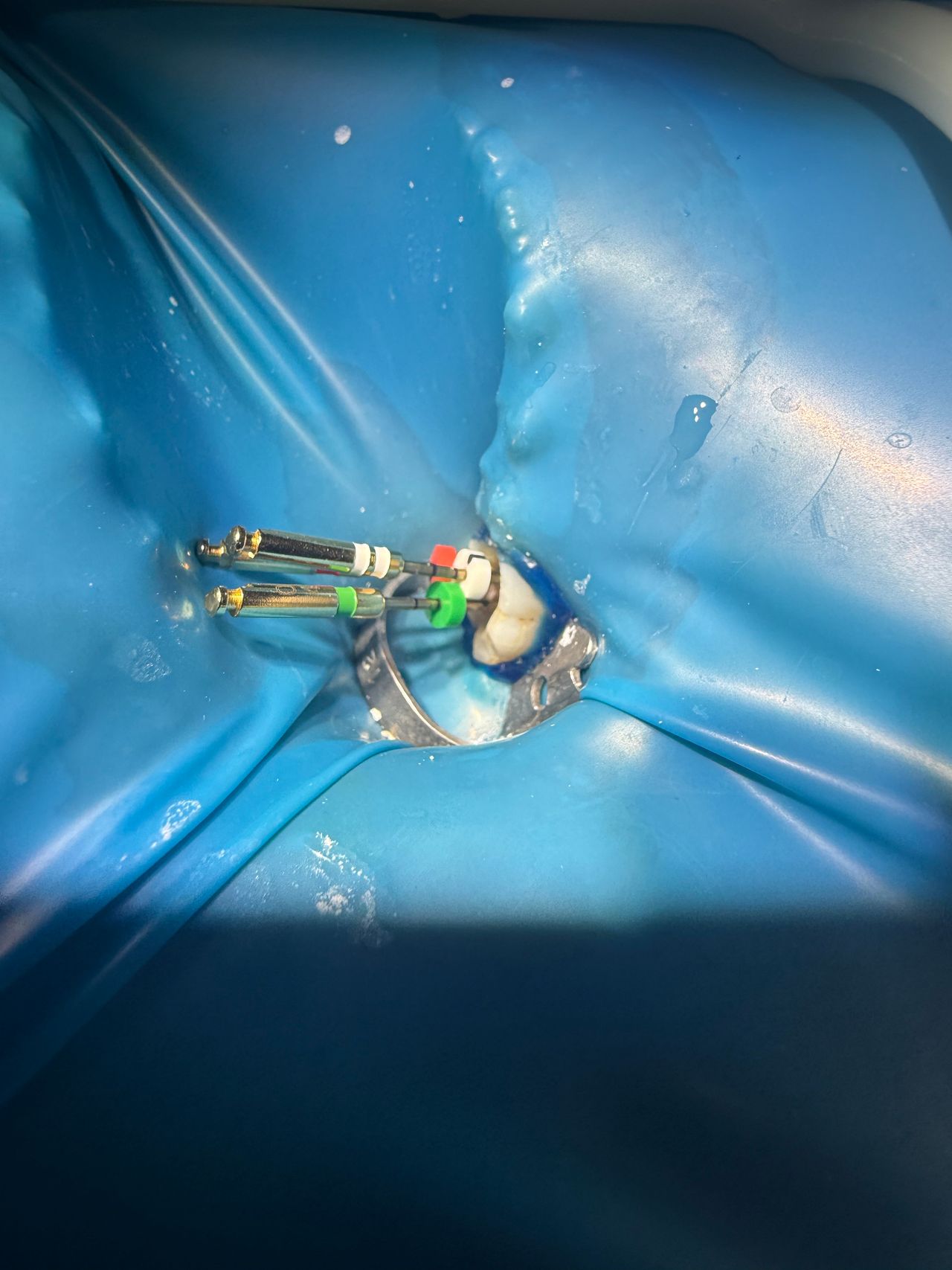 Maria Del Carmen Canul Guzman-5