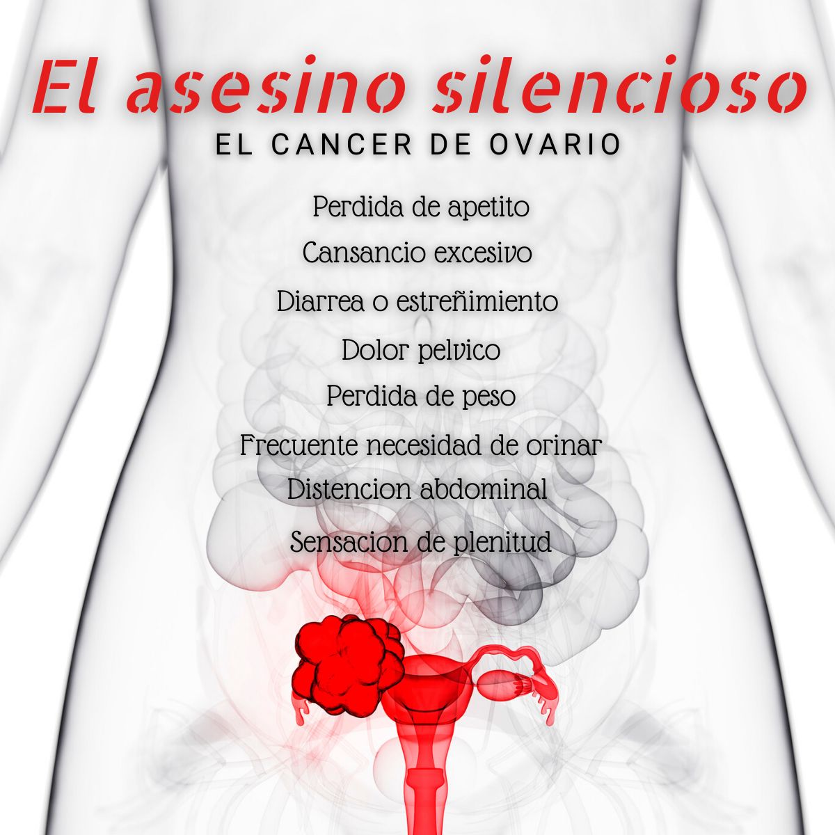 Aldo Márquez Gómez-8