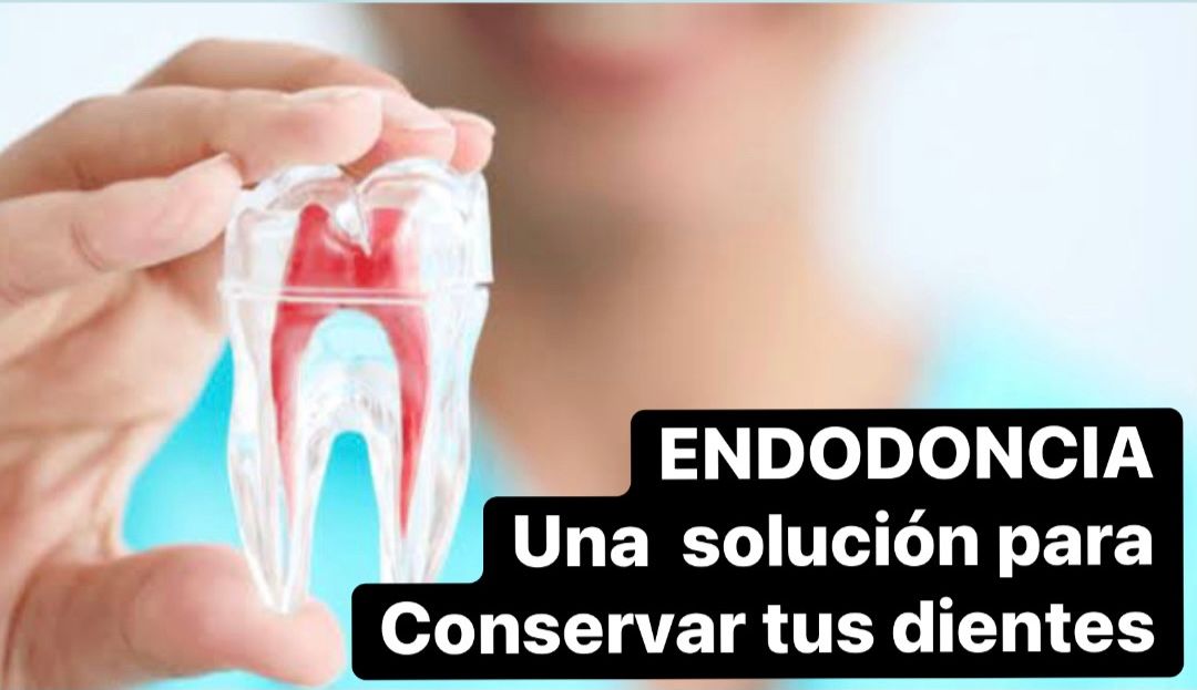 Lizzie Ibarra Domínguez-1