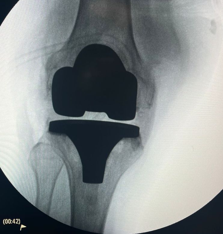 Miguel Angel Barrios Andaluz-0