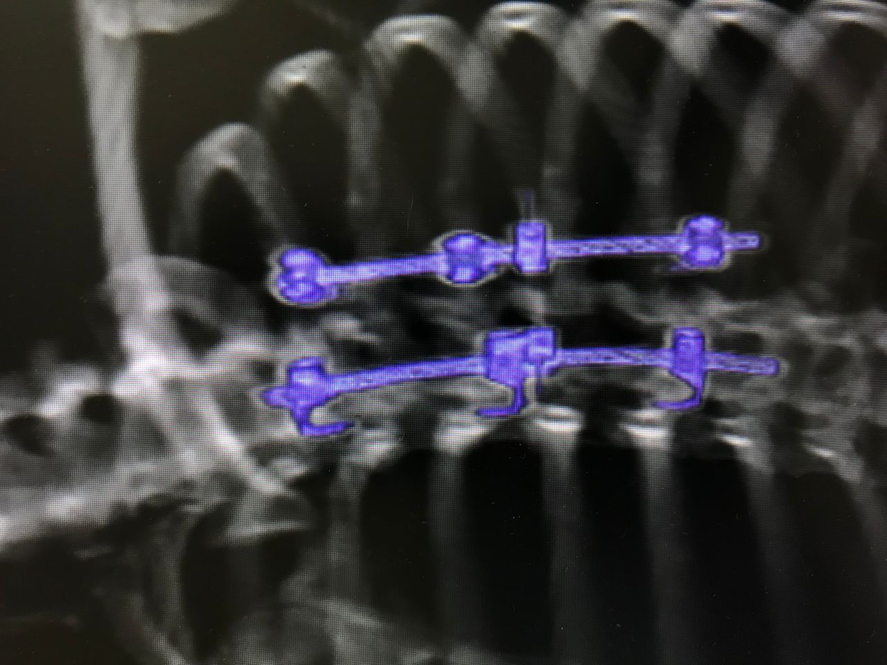 Rafael Maciel Morfin-50