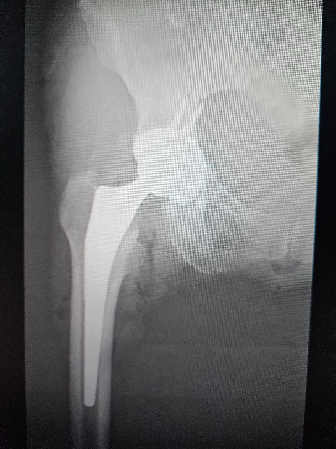 Juan Miguel Vargas Martínez-9