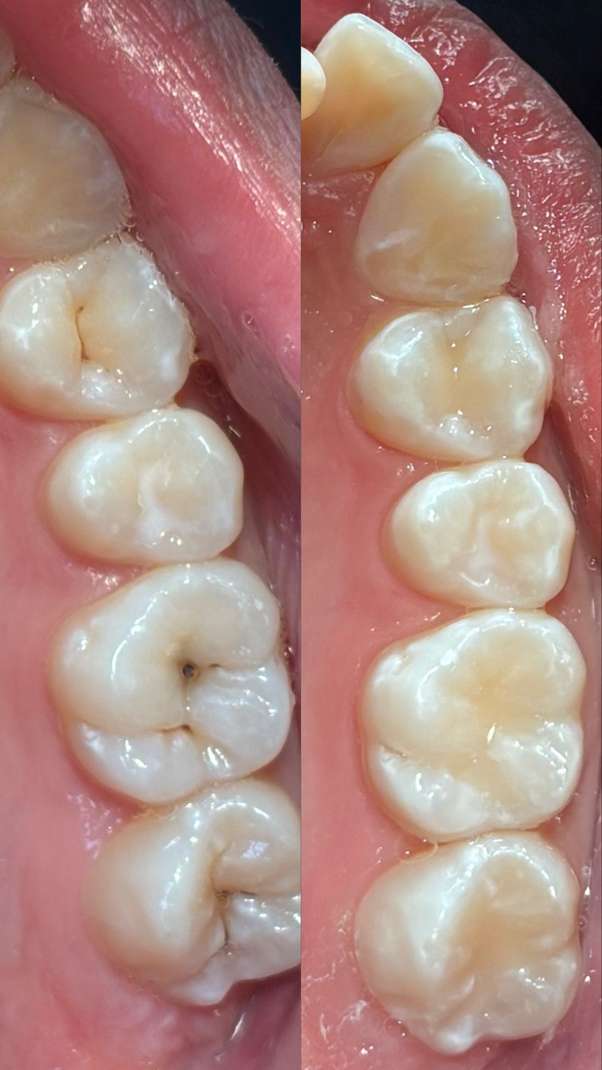 María Paula  Flores Novoa-77