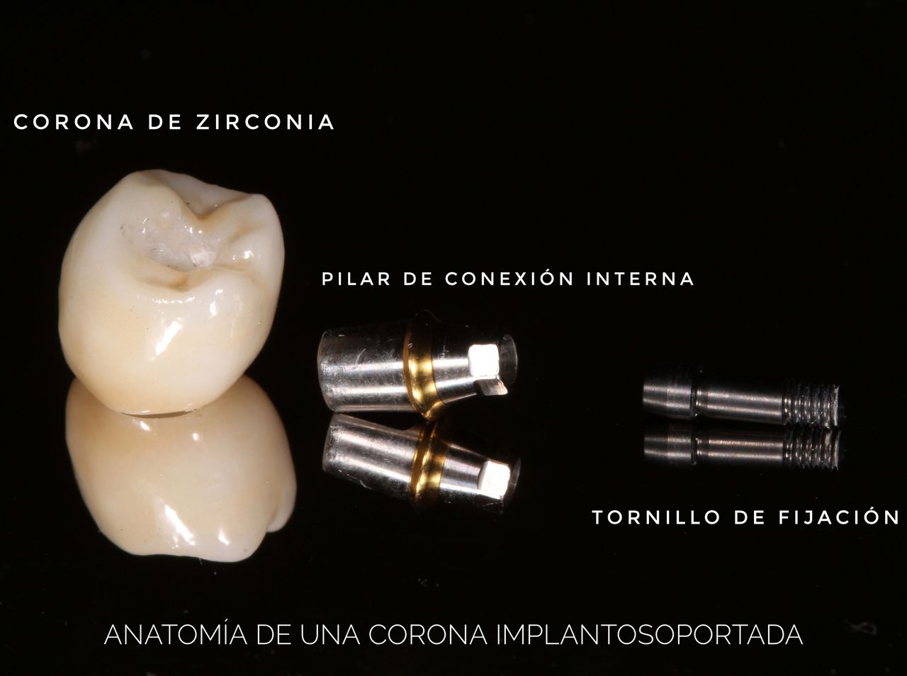 Hylse Najera Moya-20