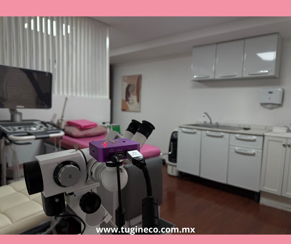 Ana Carina Vazquez Martinez-7