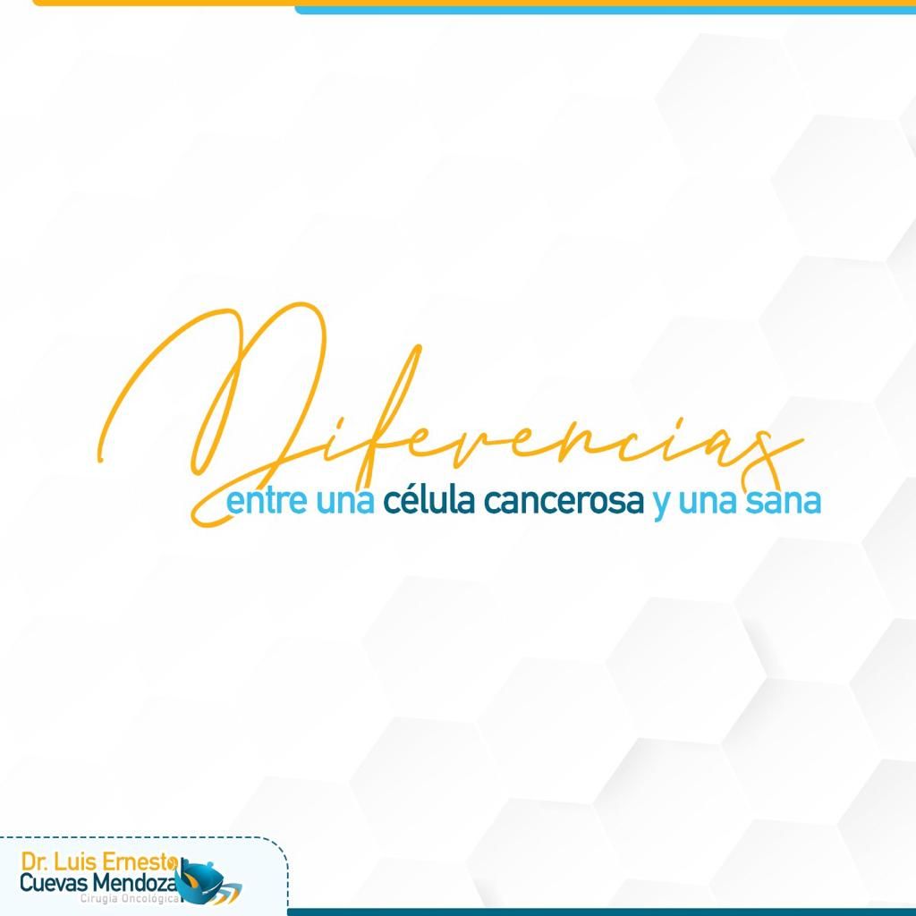 Luis Ernesto Cuevas Mendoza-272