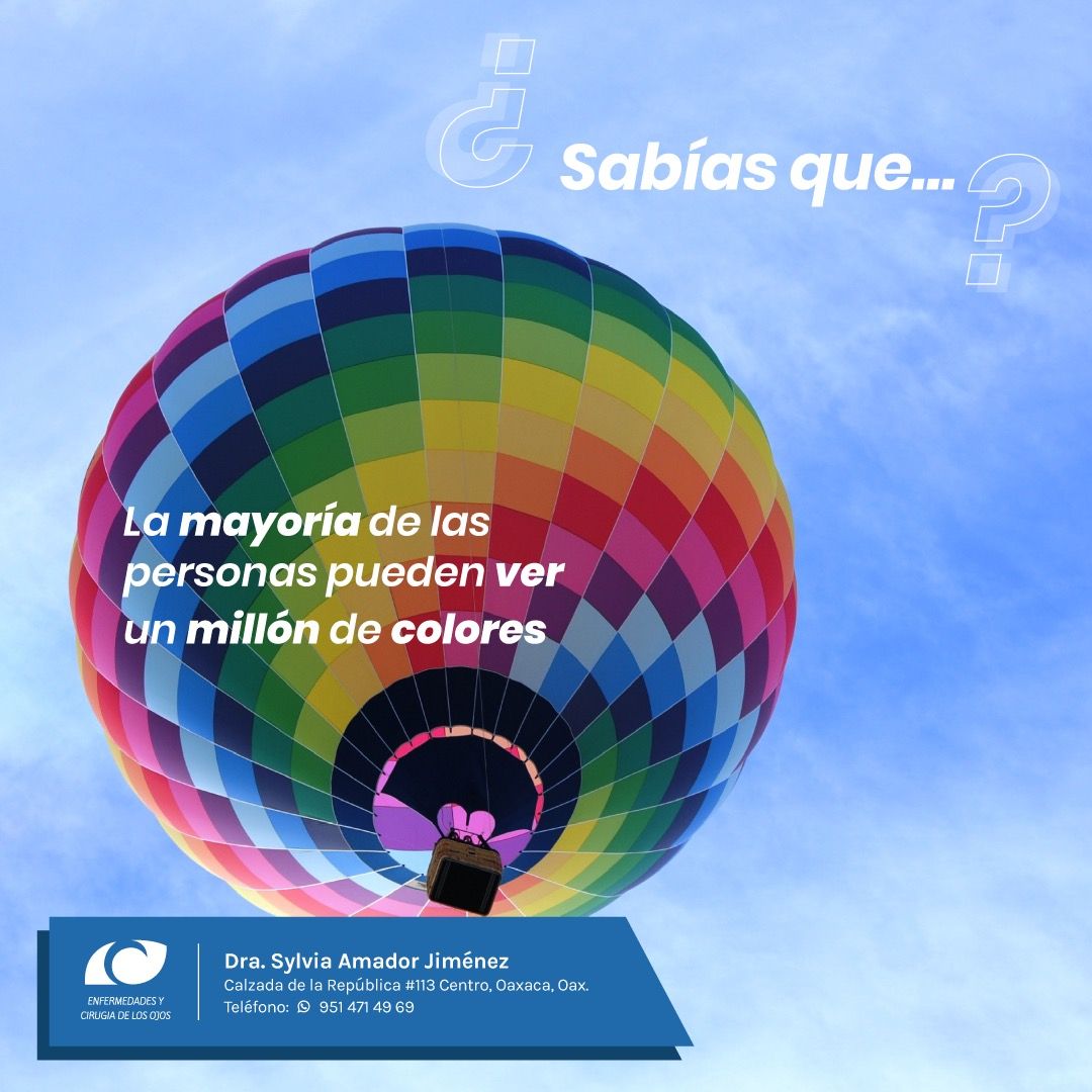 Sylvia Amador Jiménez-13