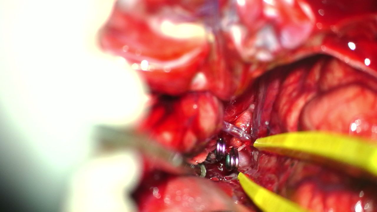 Celia Teresa De Jesús Álvarez Gamiño-42