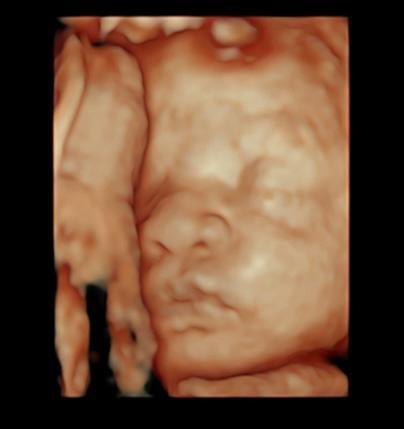 Katia Yareli Viera Ibarra-15