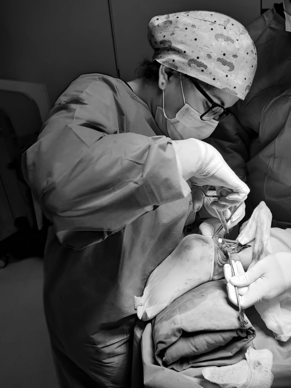 Lizbeth Sarai Alexander Panduro-3