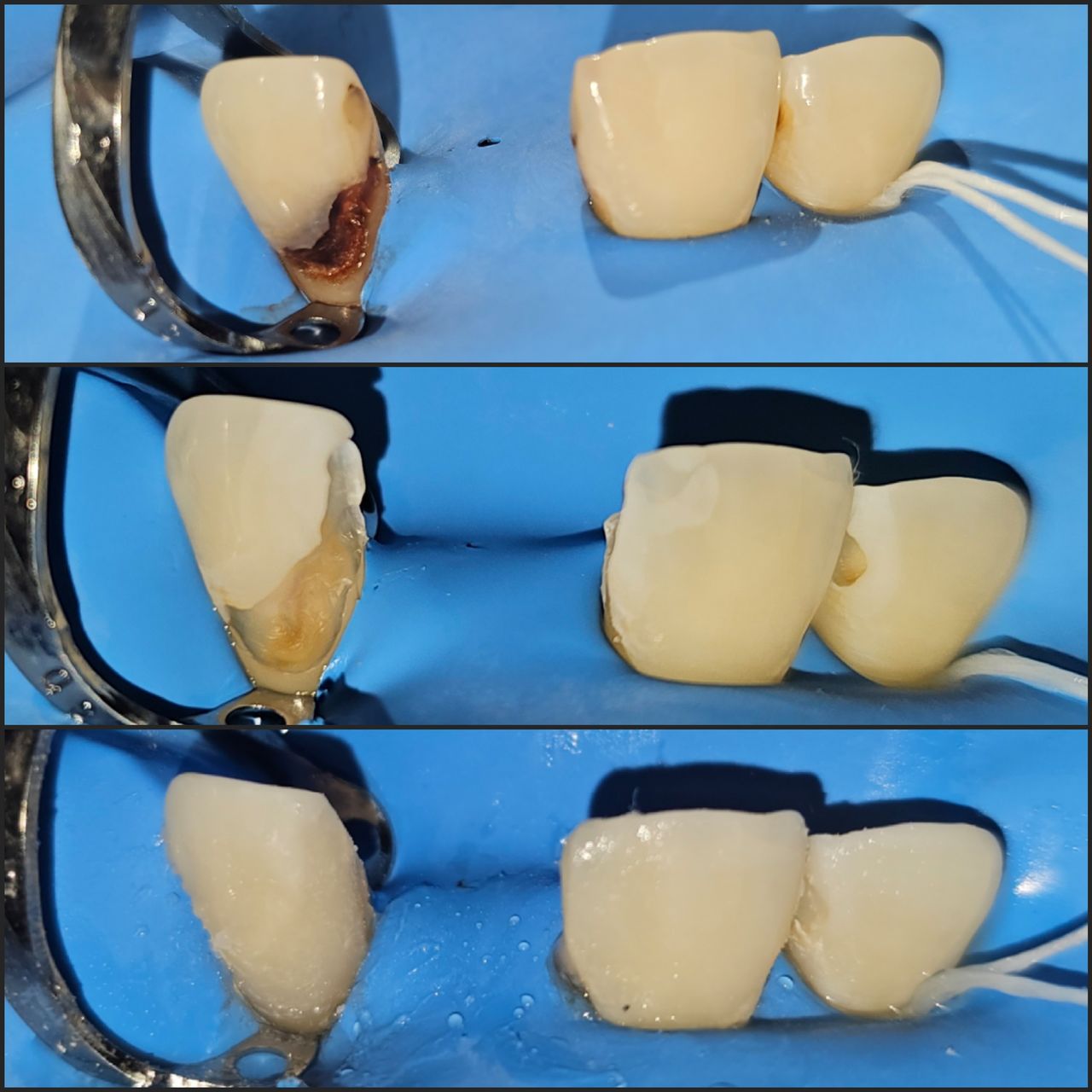 César Armando Hernández Castañeda-10