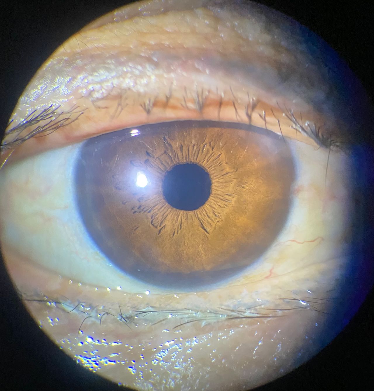 Claudio Emmanuel Hernandez Guzman-2