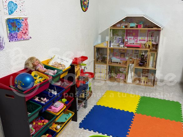 Paulina Pichardo Urrutia-2