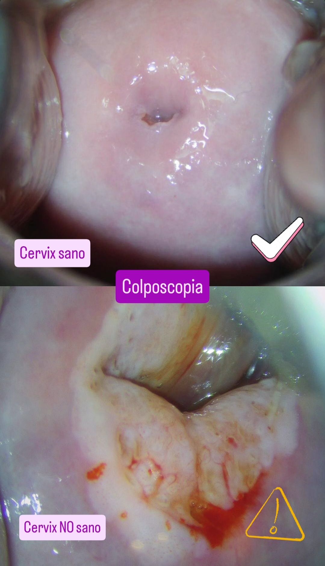 Yoshio Omar Payan Enciso-8