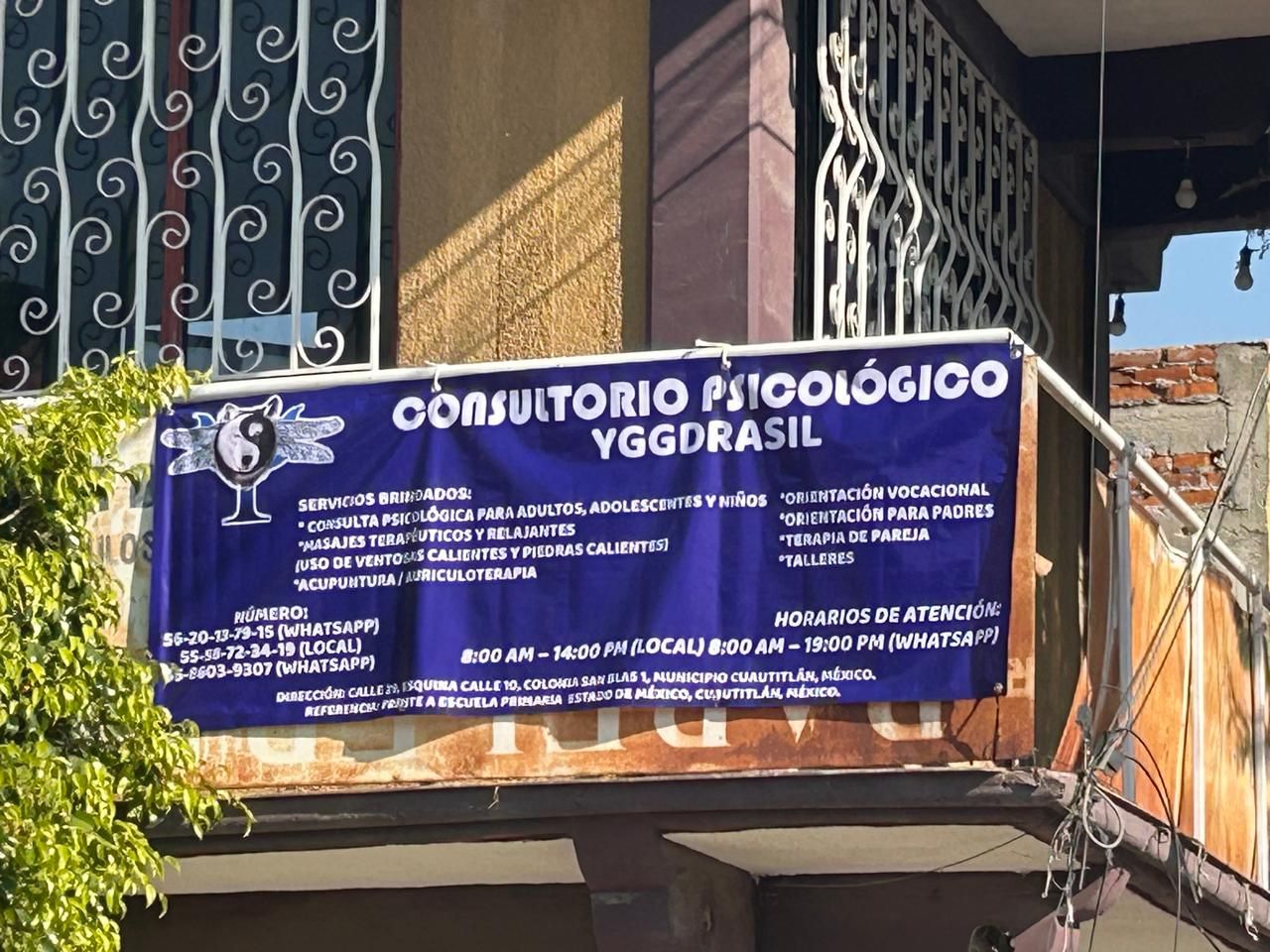 Paulina Lizethe Mojarro Martínez-11