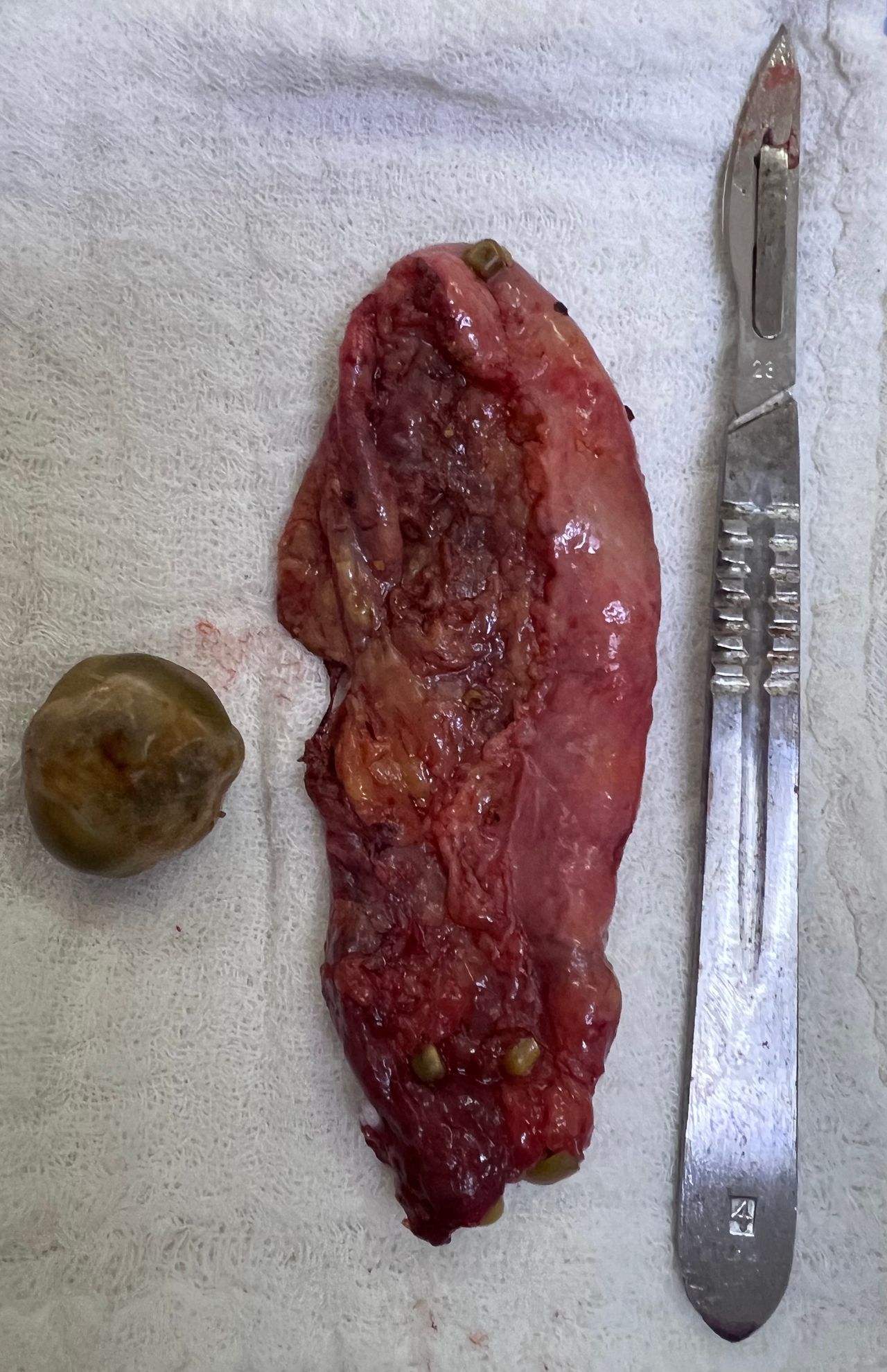 Elizabeth Charrez Guerrero-8