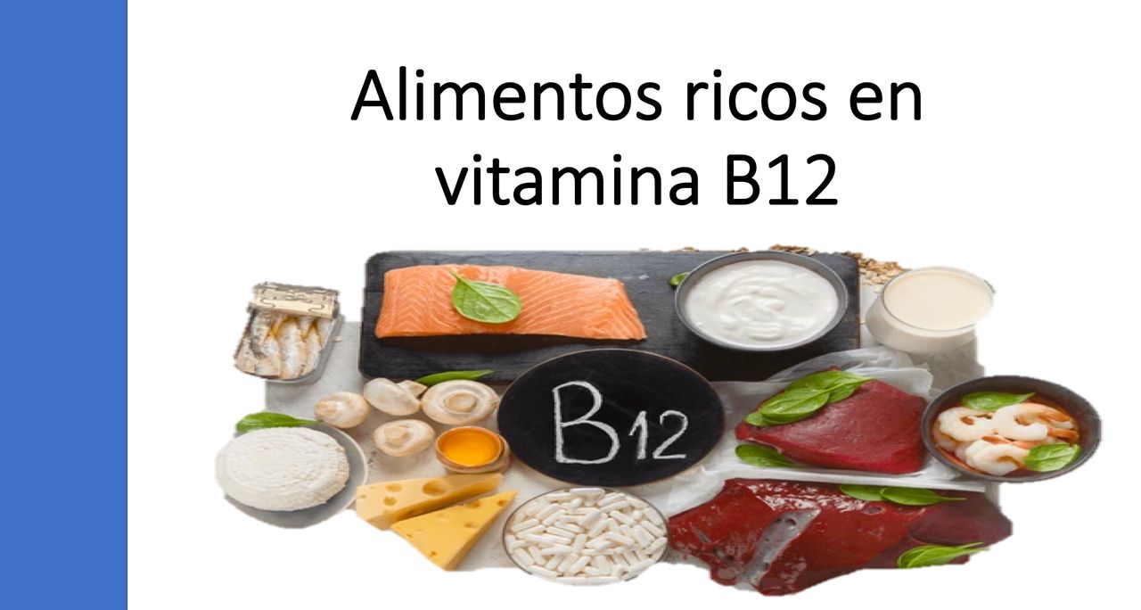 Araceli Leal Alanís-13