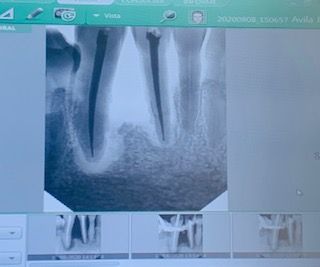 Gloria Alejandra Avila Dueñas-0