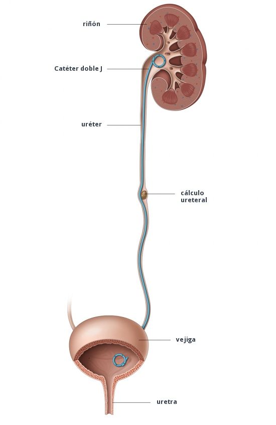 Eric Misael Beas Pérez-13