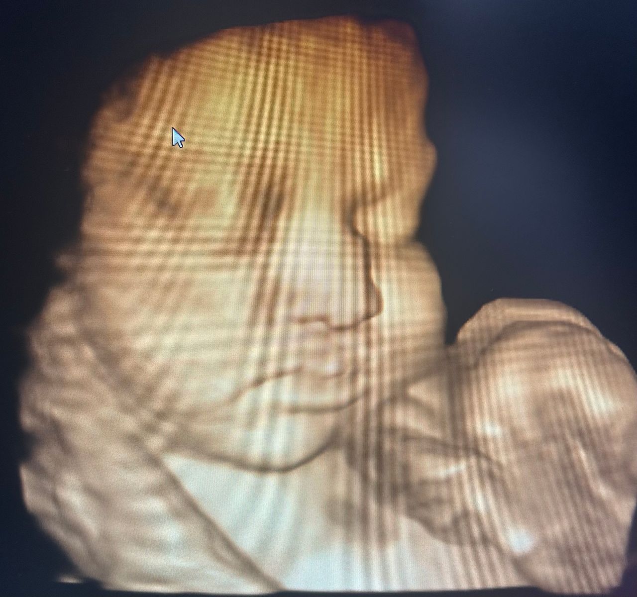 Armando Cinta Luna-4