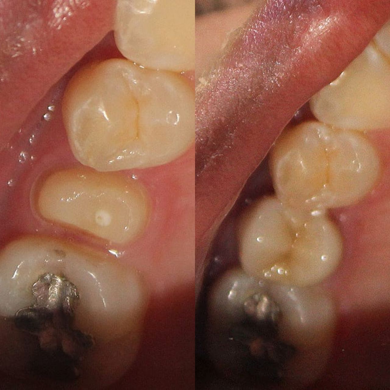 Octavio Alcántara Rangel-14