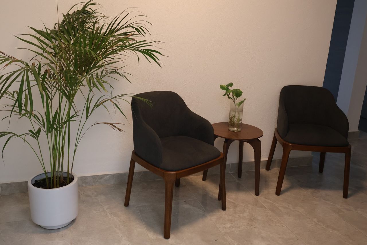 Félix Romero Flora-4