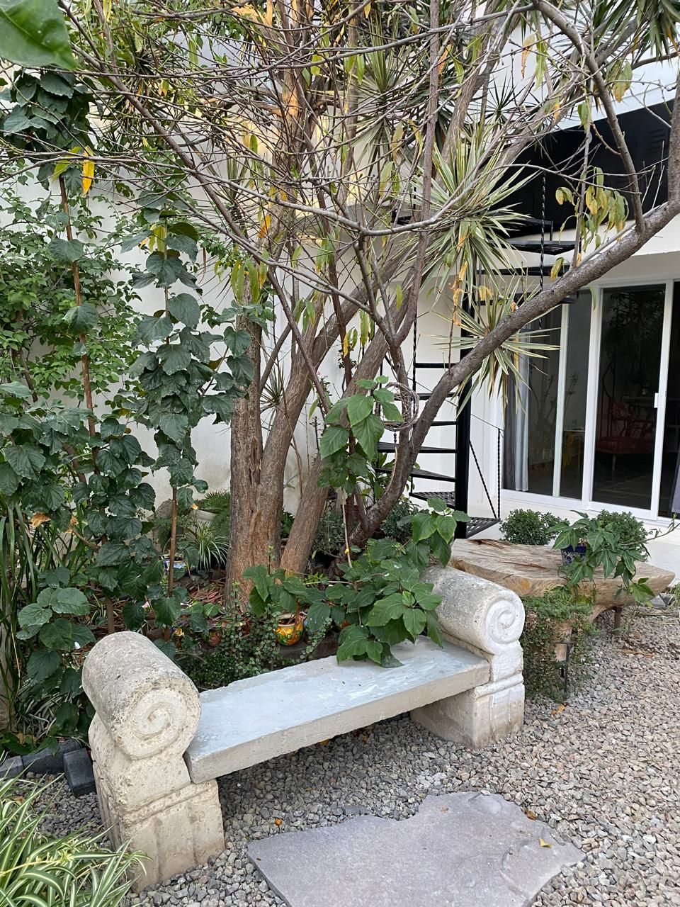 Jessica Dinorah Padilla Márquez-7