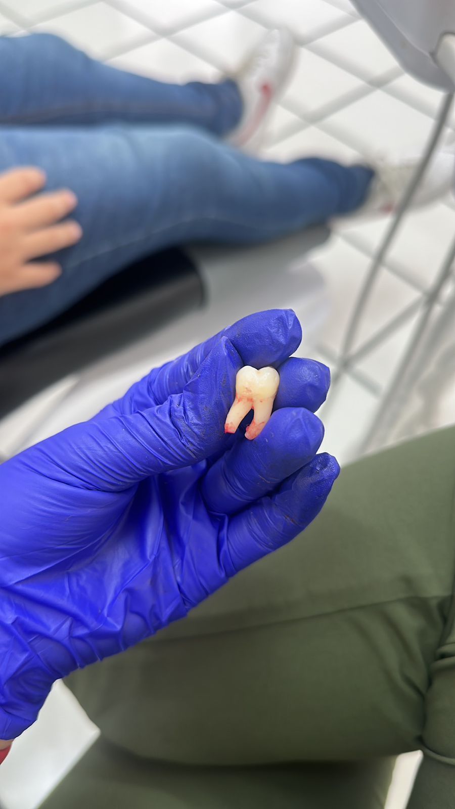 Valeria Muñoz Balboa-7