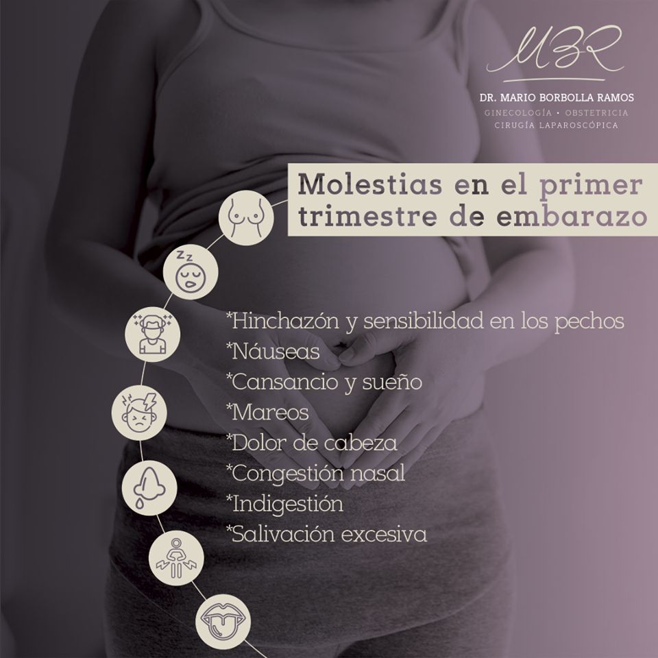 Mario Borbolla Ramos-0