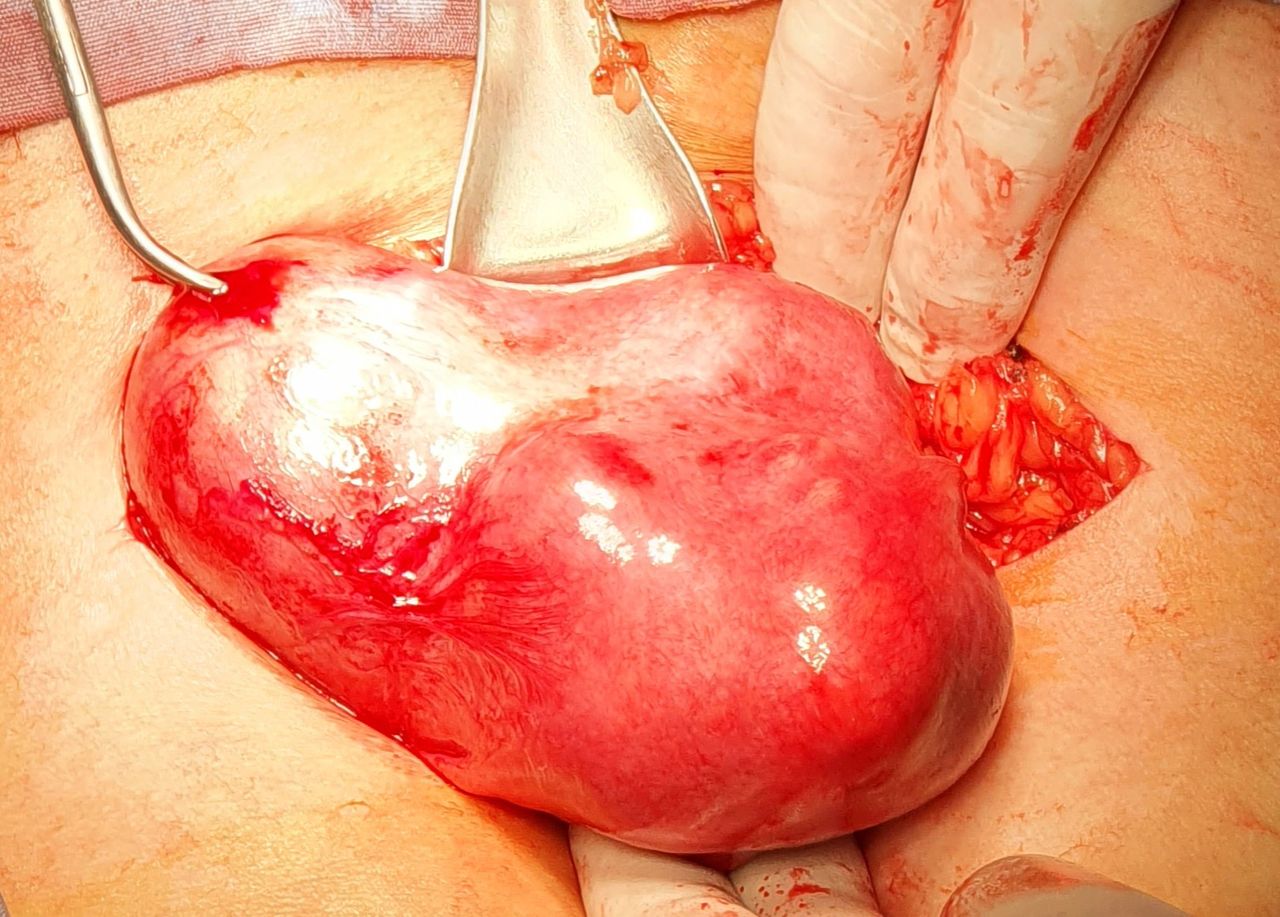 Martha Helena Cabezas Pérez-15