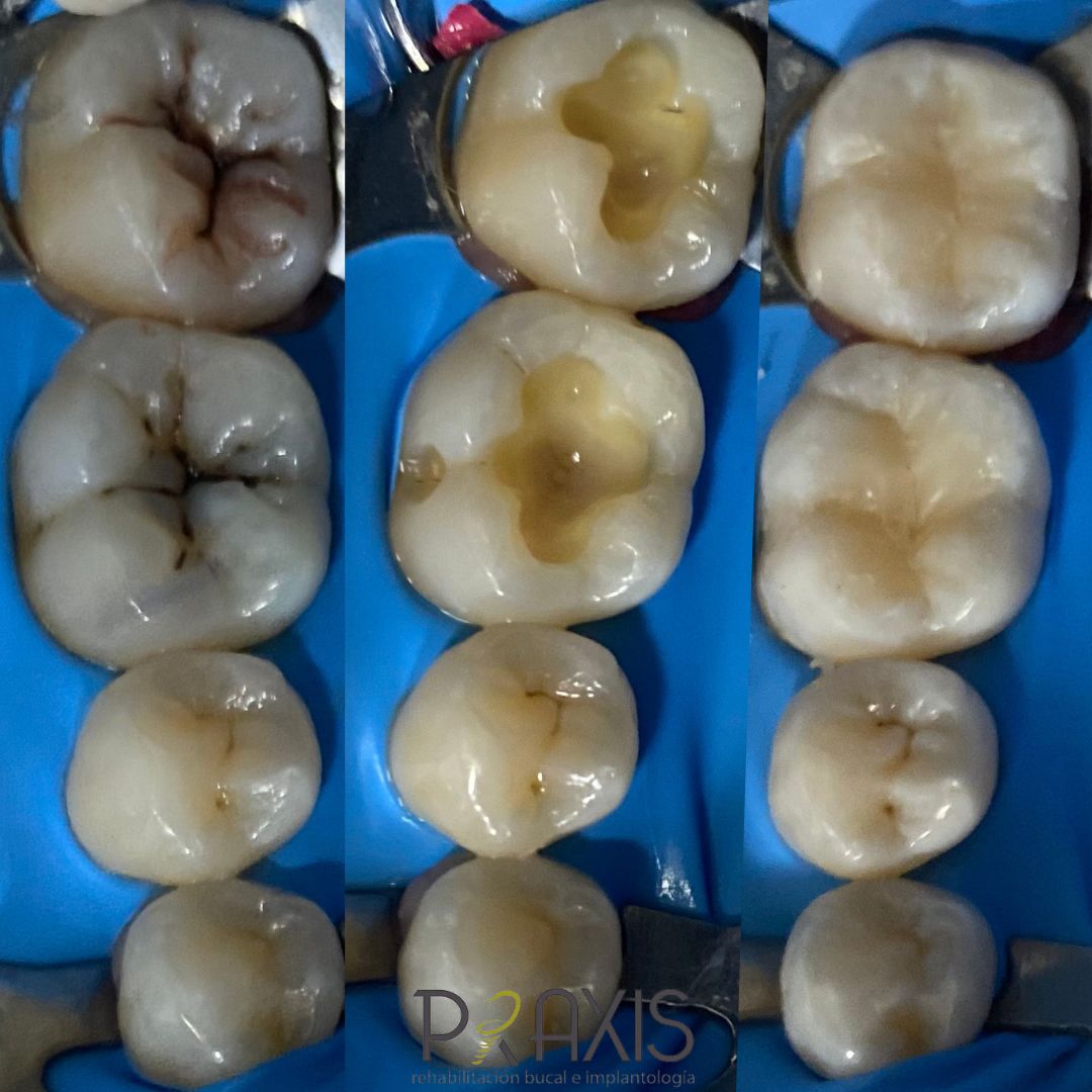 Andrea Rincón García-14